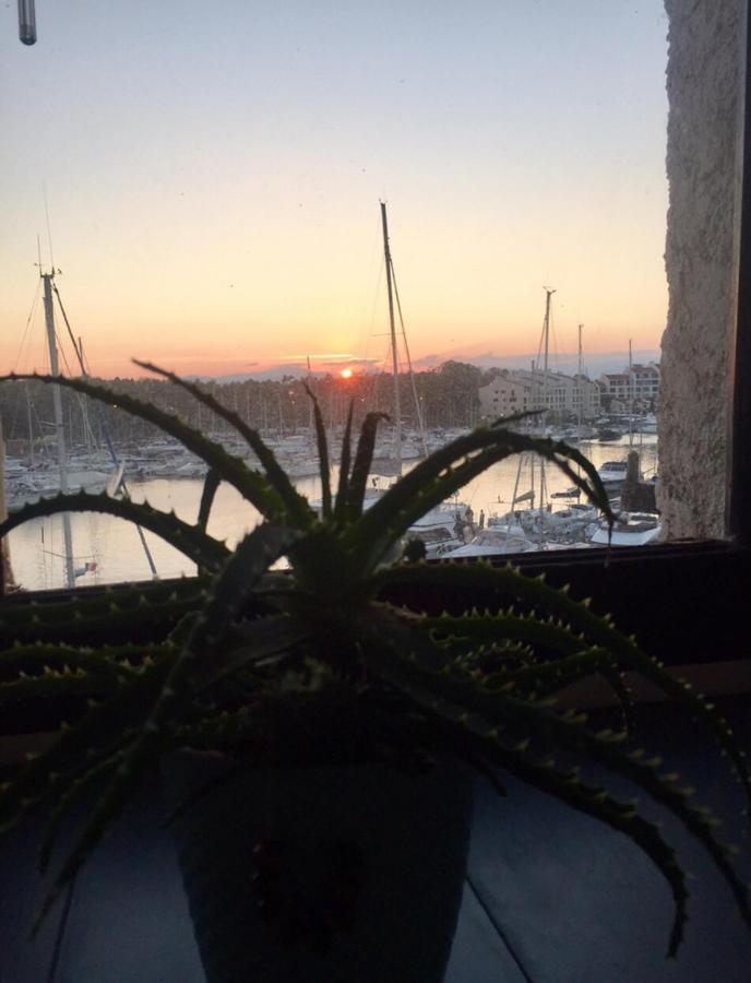 شقة Petit Cocon Magnifique Vue Sur Marina Dans Le Golfe De Saint Tropez كوغولين المظهر الخارجي الصورة